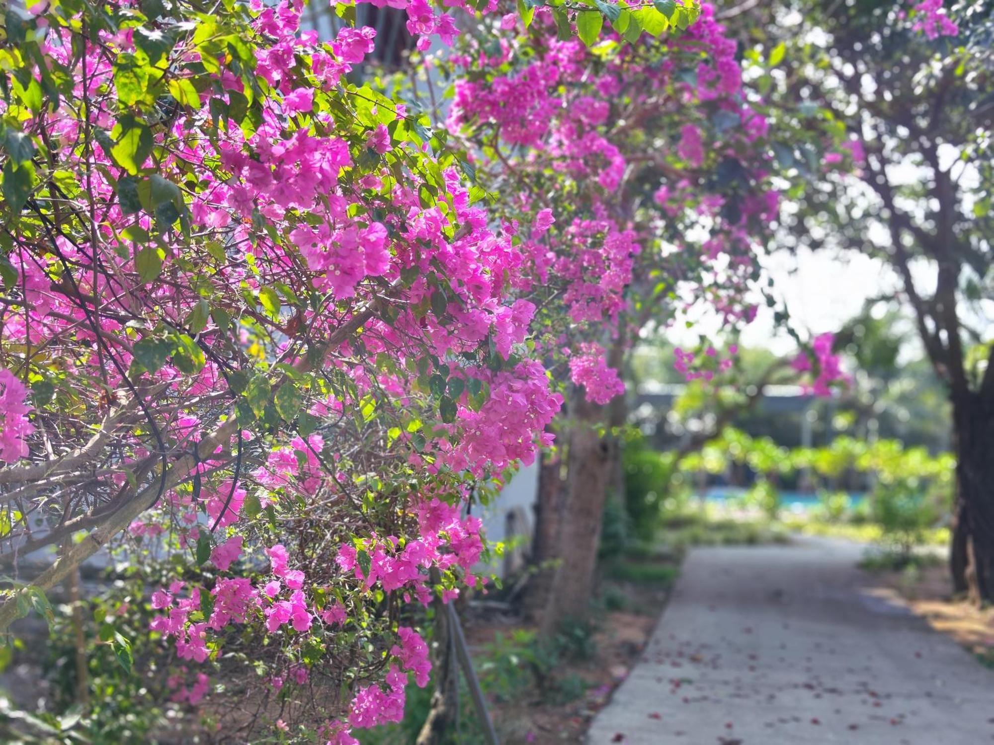 Y Village Resort Phú Quốc Ngoại thất bức ảnh