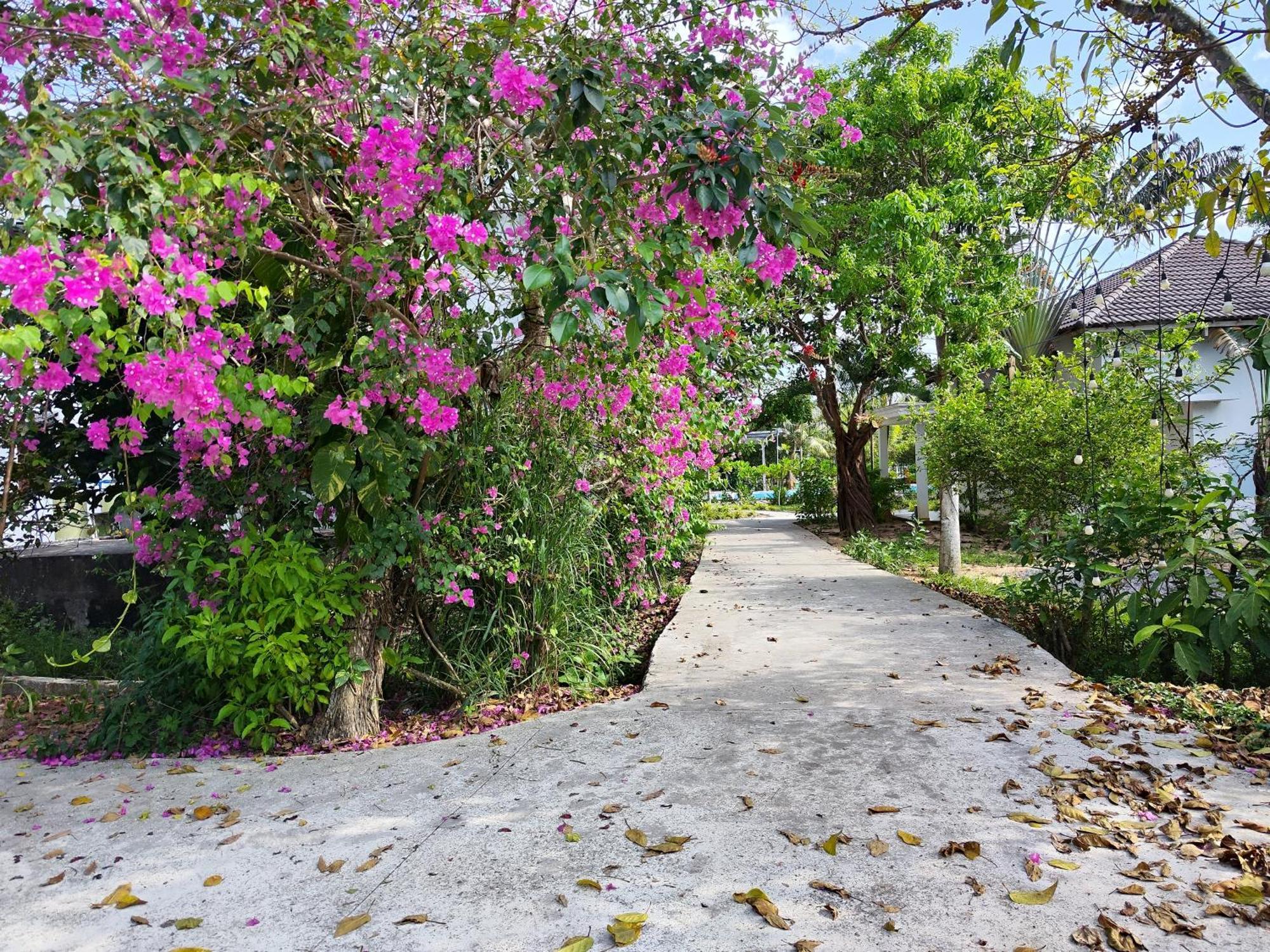 Y Village Resort Phú Quốc Ngoại thất bức ảnh
